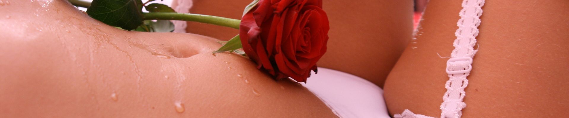 Rose auf Dame