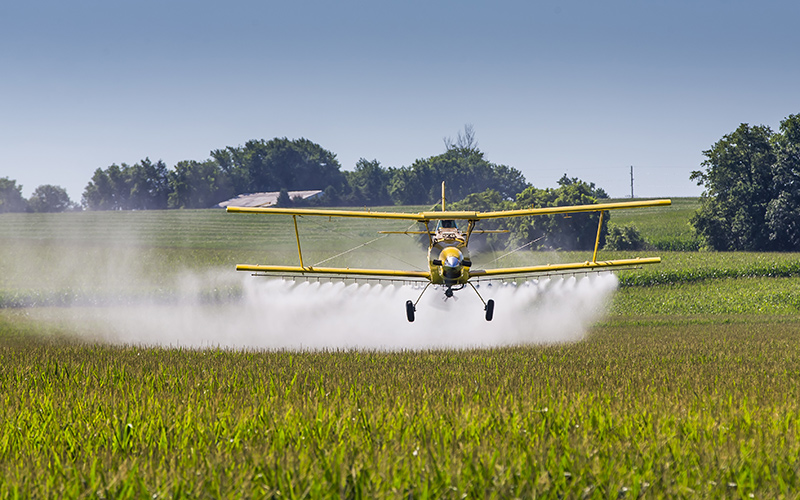 Flugzeug versprüht Pestizide