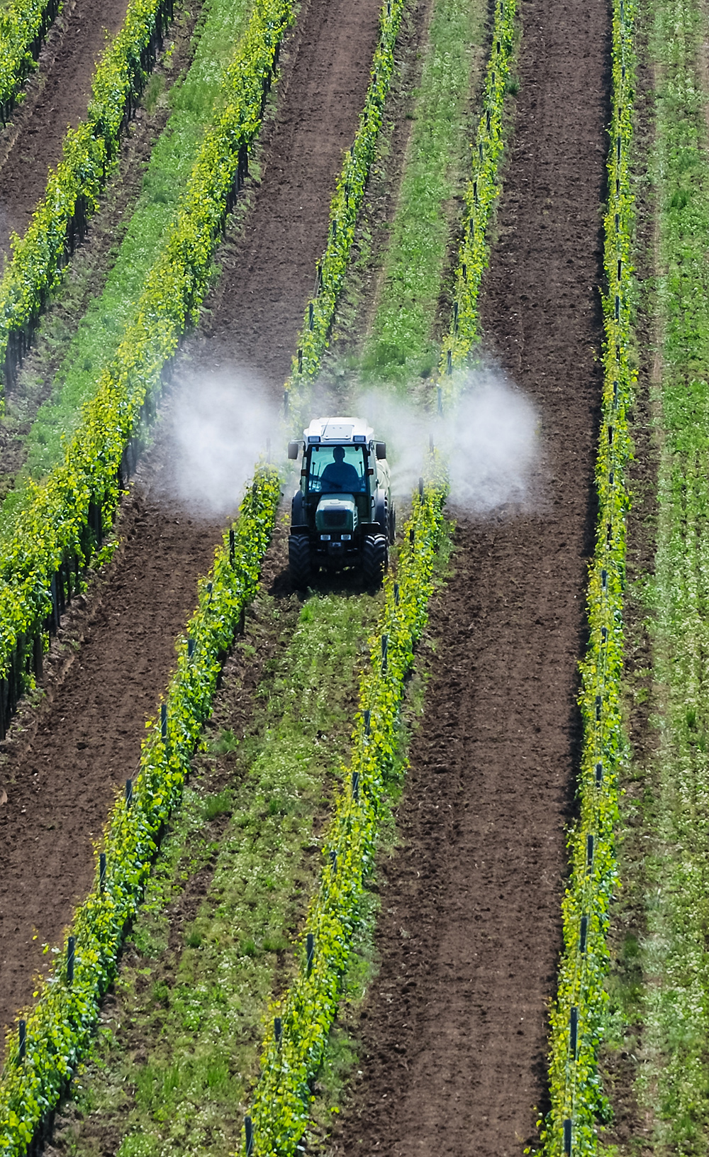 Traktor im Feld